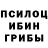 Псилоцибиновые грибы Psilocybe Mehti Aliyev