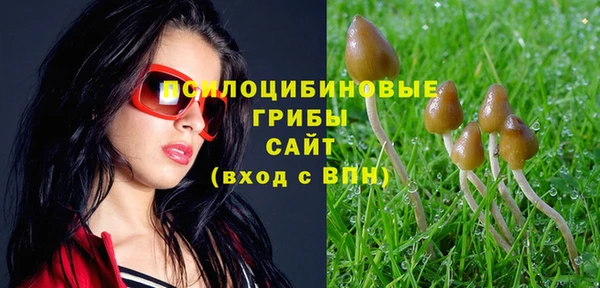 спиды Беломорск