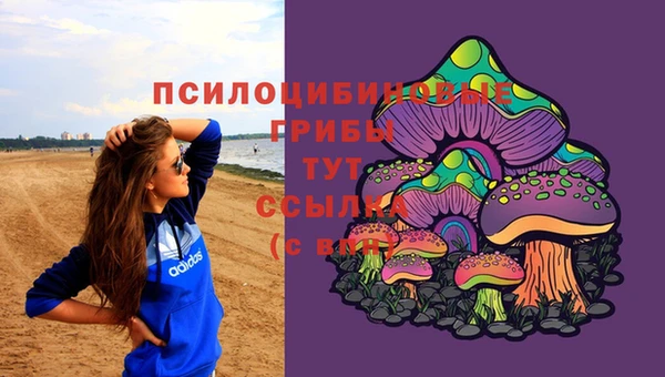 стафф Ельня