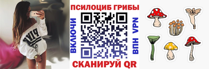 Псилоцибиновые грибы MAGIC MUSHROOMS где купить Моздок